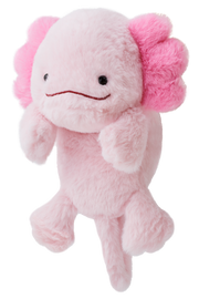 Posture Pal - Display Pocket Charm