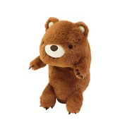 Posture Pal - Display Pocket Charm
