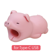 CABLE BITE for Type-C USB - Classic Daily Pick