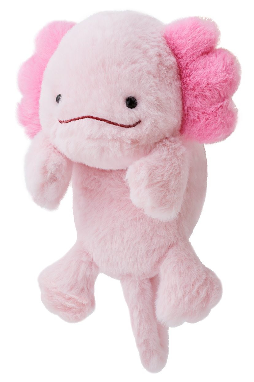 Posture Pal - Display Pocket Charm