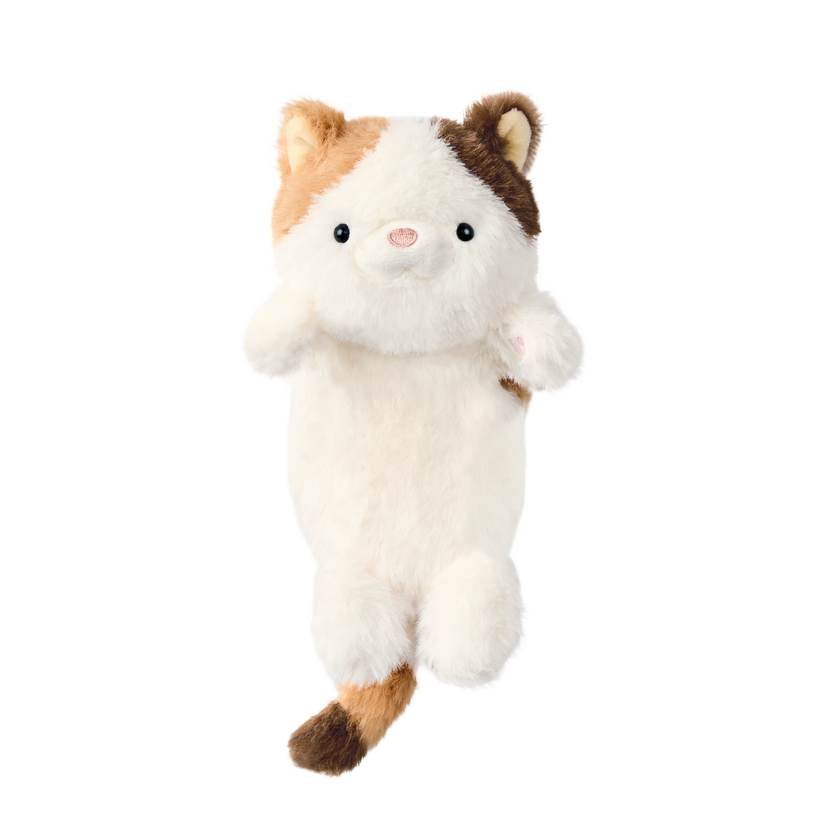 Posture Pal - Daily Comfort