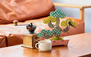 Play Plants Bonsai Puzzles - Mini Choice