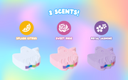 Rainbomb Unicorn - Collector Travel Ready