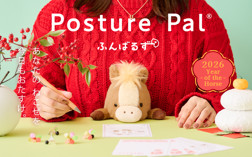 Posture Pal - Classic Travel Pick
