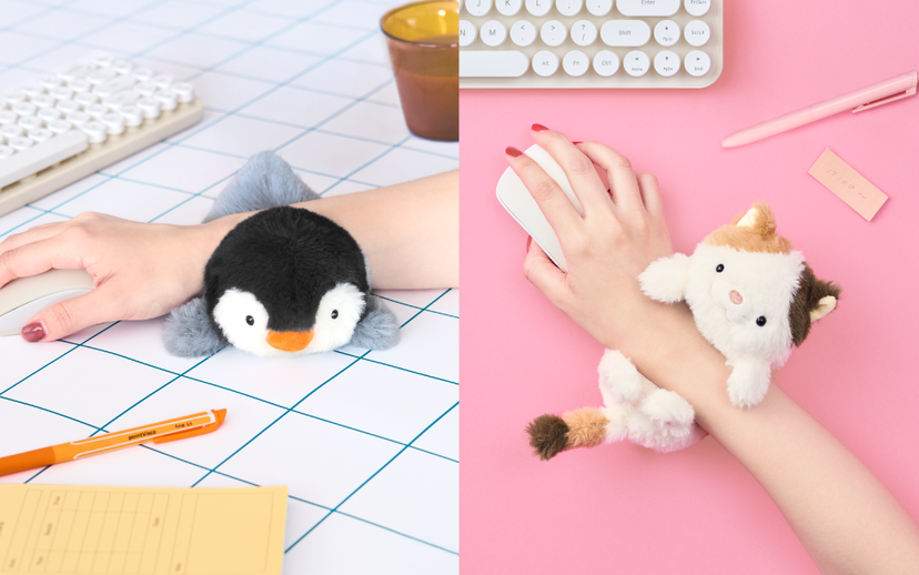 Posture Pal - Daily Comfort