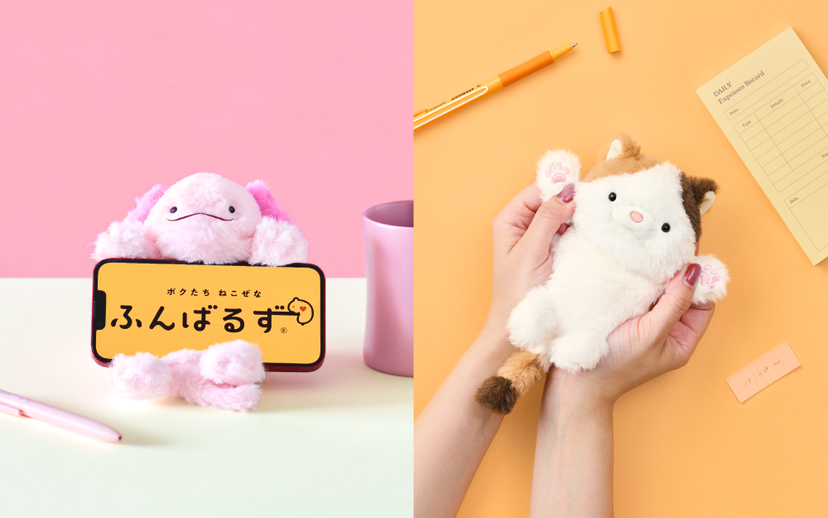 Posture Pal - Daily Comfort