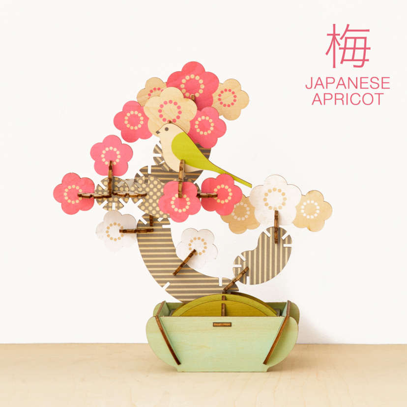 Play Plants Bonsai Puzzles - Mini Choice