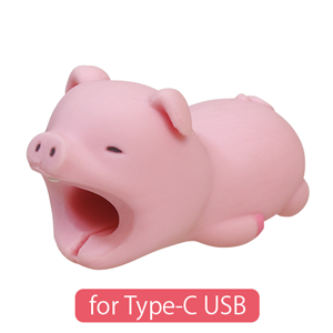 CABLE BITE for Type-C USB - Classic Daily Pick