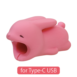 CABLE BITE for Type-C USB - Classic Daily Pick